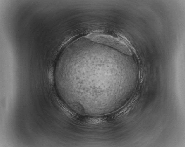 X0000116620249200912181310