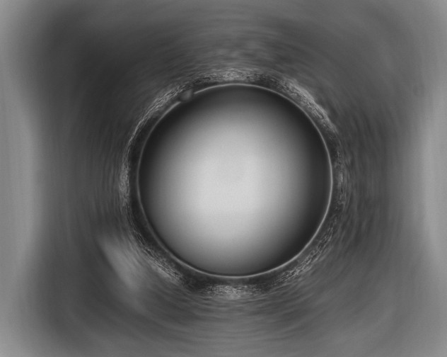 X0000116620250200912181310