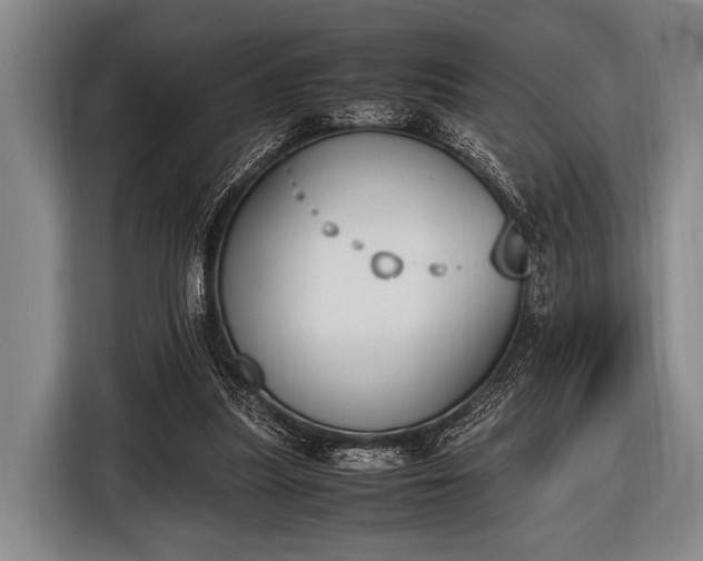 X0000116620251200912181310