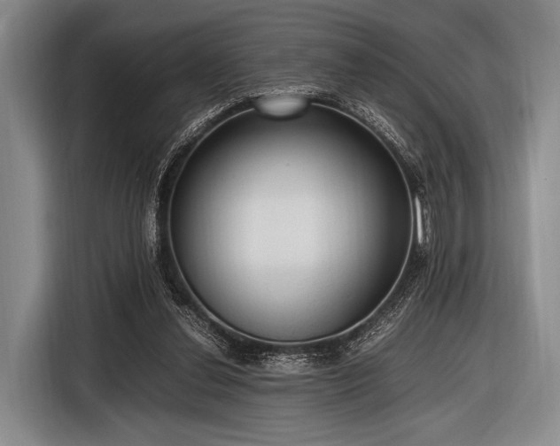 X0000116620252200912181310