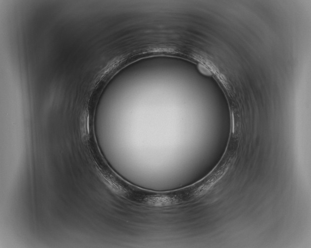 X0000116620253200912181310