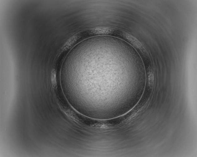 X0000116620254200912181310