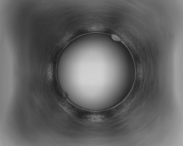 X0000116620255200912181311