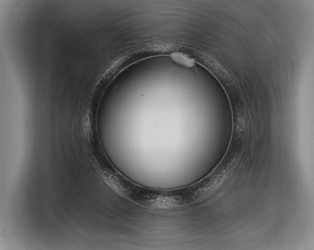 X0000116620256200912181311