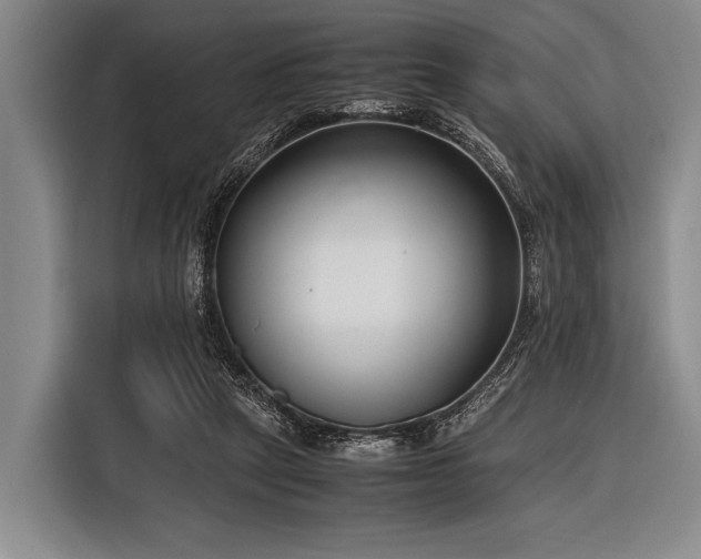 X0000116620257200912181311