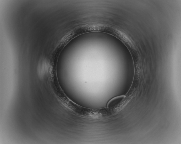 X0000116620258200912181311