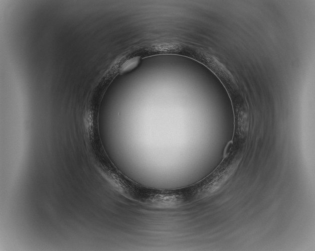 X0000116620260200912181311