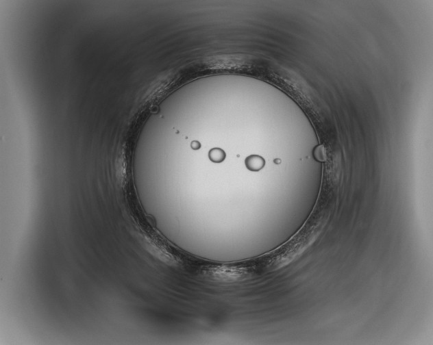 X0000116620261200912181311