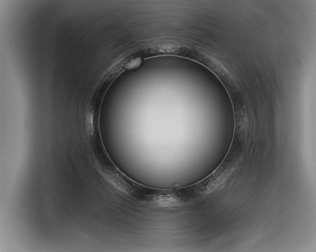 X0000116620262200912181311