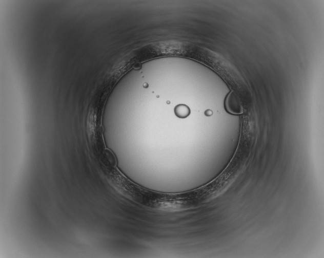 X0000116620263200912181311