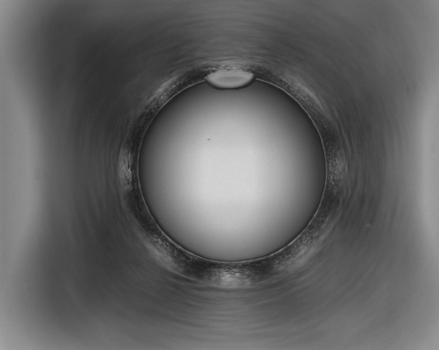 X0000116620264200912181311