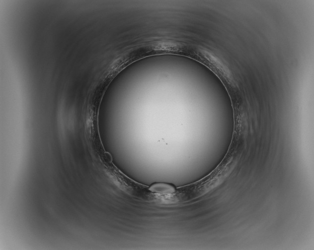 X0000116620265200912181311