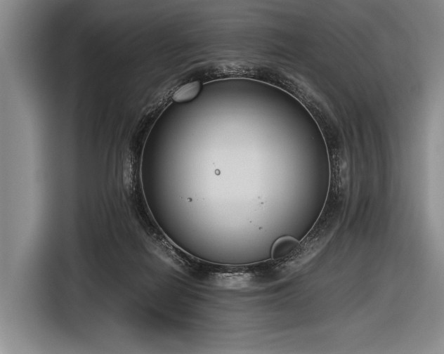 X0000116620266200912181311