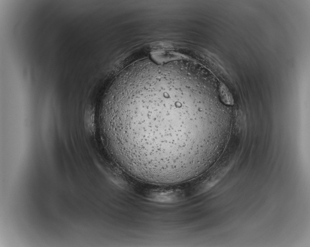 X0000116620267200912181311