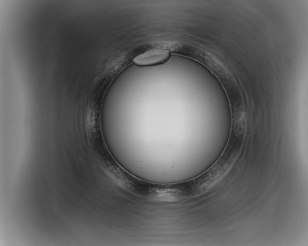 X0000116620268200912181311