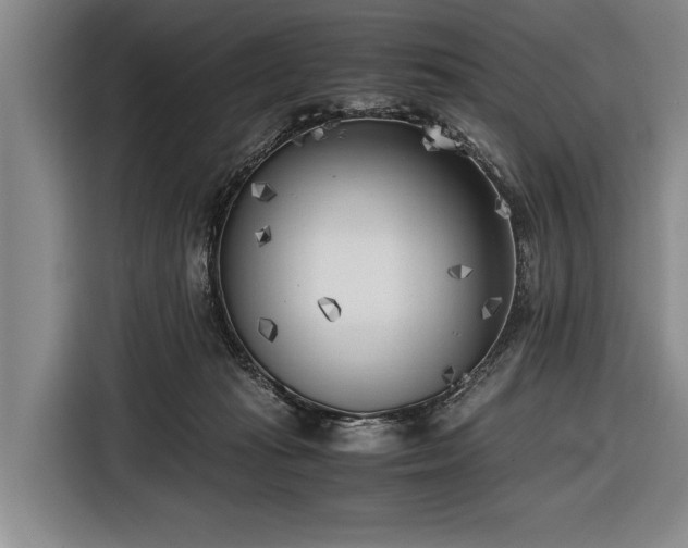 X0000116620269200912181311