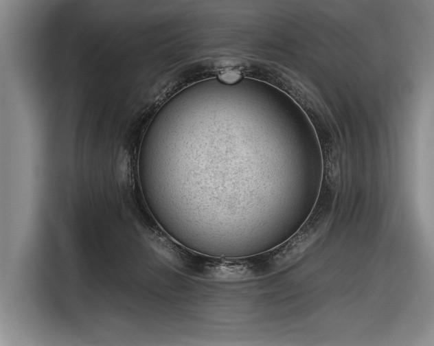 X0000116620270200912181311