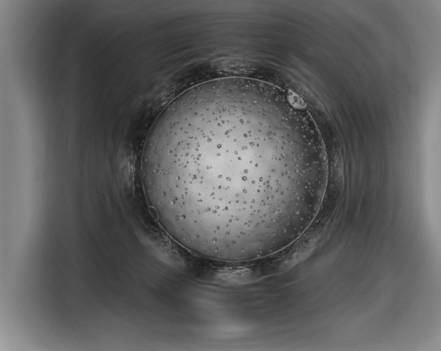 X0000116620271200912181311