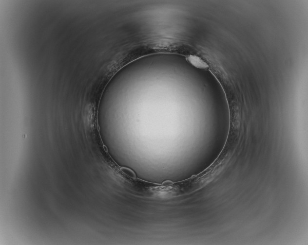 X0000116620273200912181311