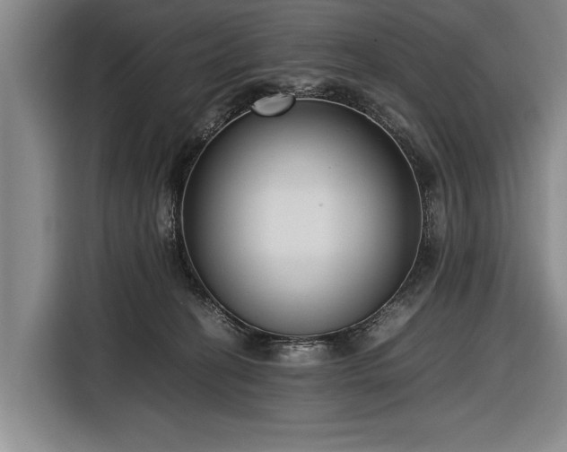 X0000116620274200912181311