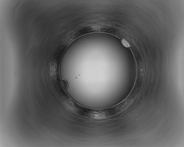 X0000116620275200912181311