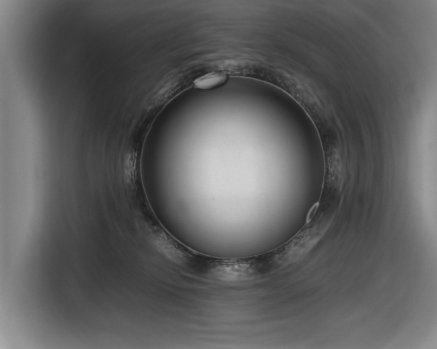 X0000116620278200912181311