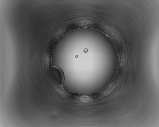 X0000116620279200912181311