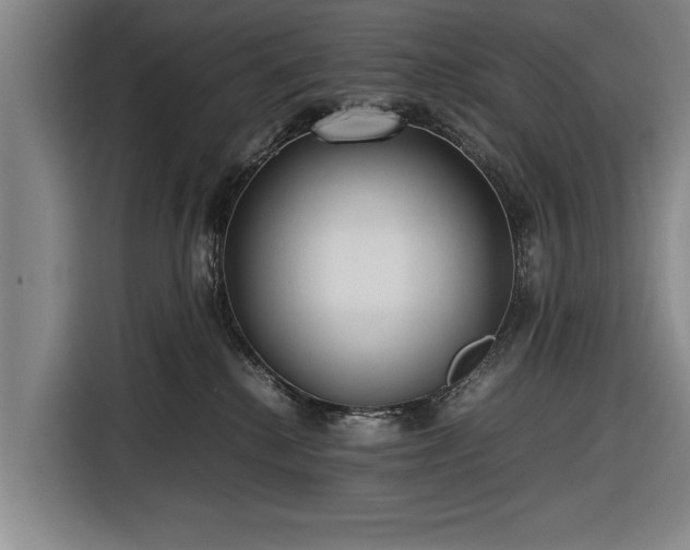 X0000116620280200912181311