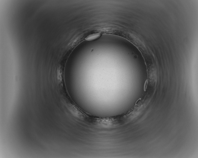 X0000116620282200912181311