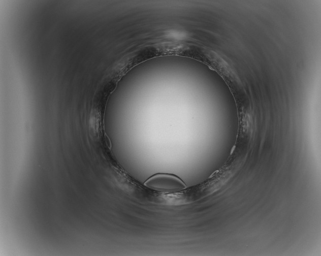 X0000116620283200912181311