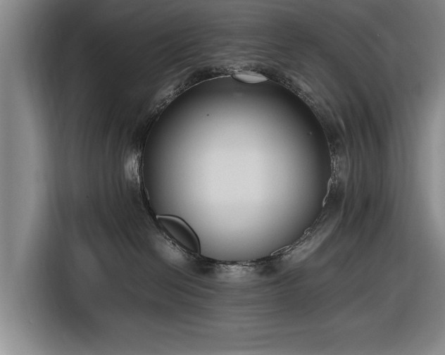 X0000116620286200912181311