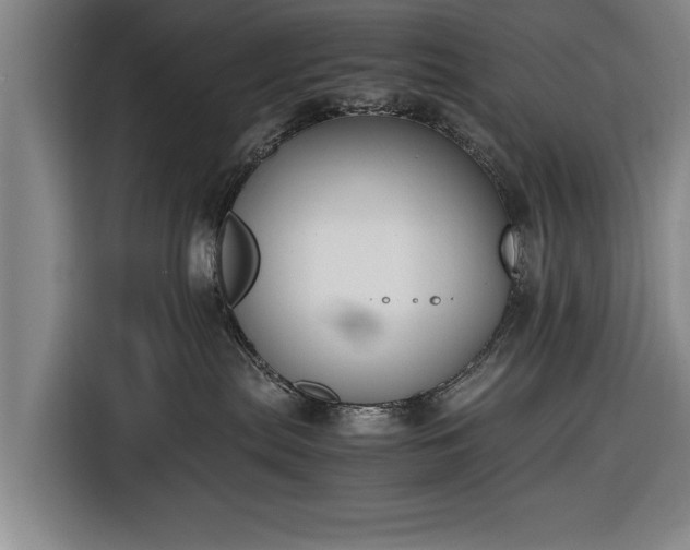 X0000116620287200912181311