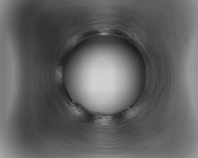 X0000116620288200912181311