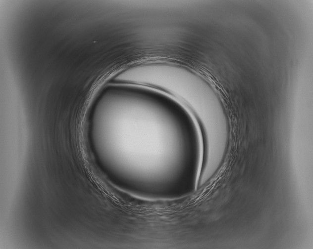 X0000116620289200912181310