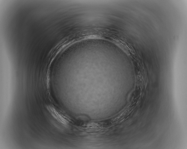 X0000116620290200912181310