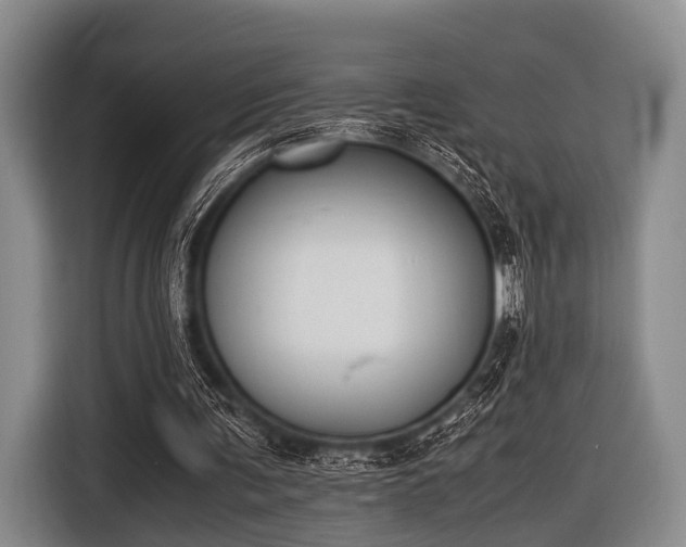 X0000116620291200912181310