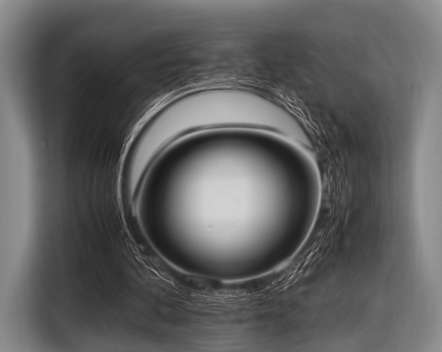 X0000116620292200912181310