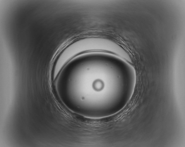 X0000116620293200912181310