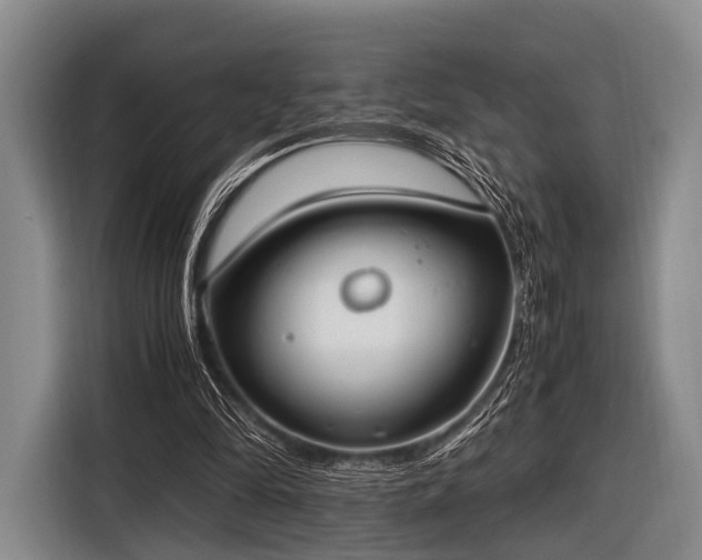 X0000116620294200912181310