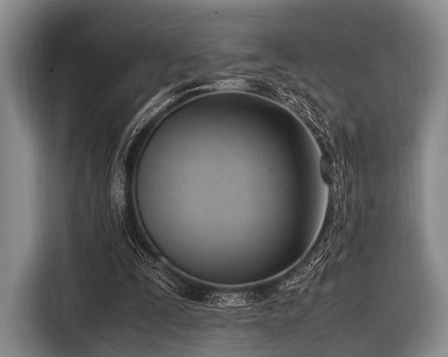 X0000116620295200912181310