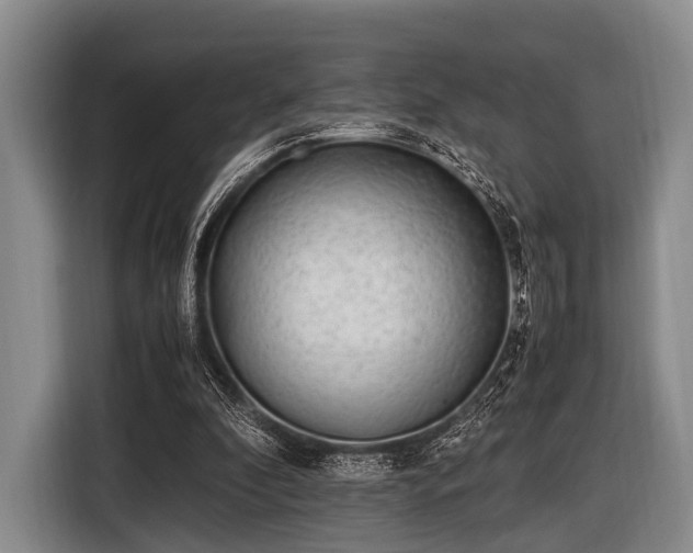 X0000116620296200912181310