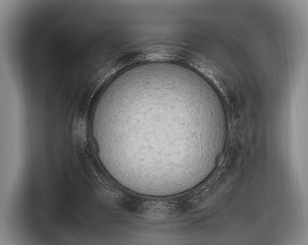 X0000116620297200912181310