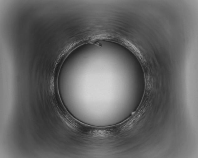 X0000116620298200912181310