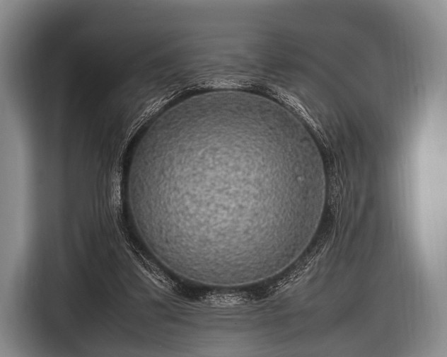 X0000116620299200912181310