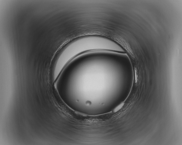 X0000116620300200912181310