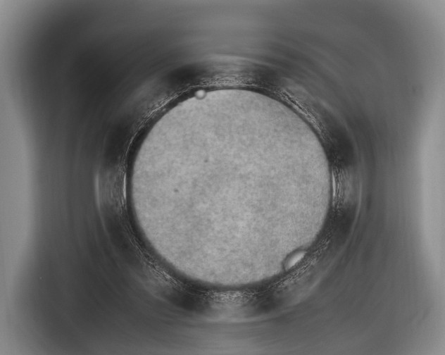 X0000116620301200912181310