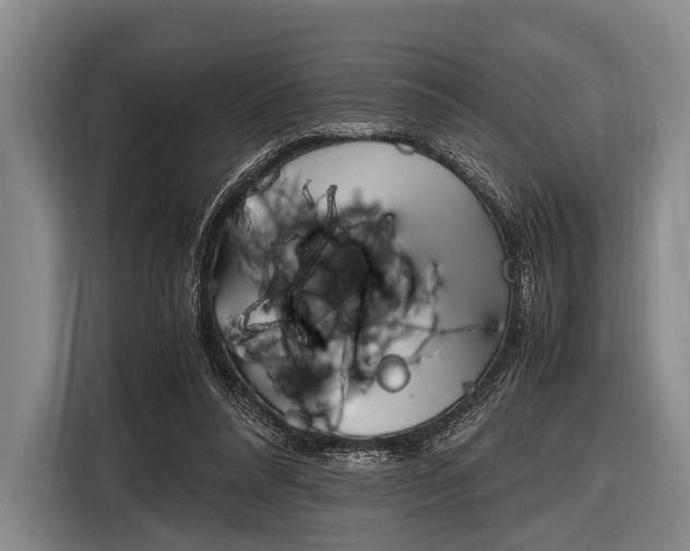 X0000116620304200912181310