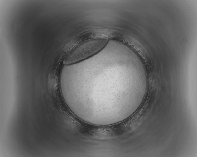 X0000116620305200912181310