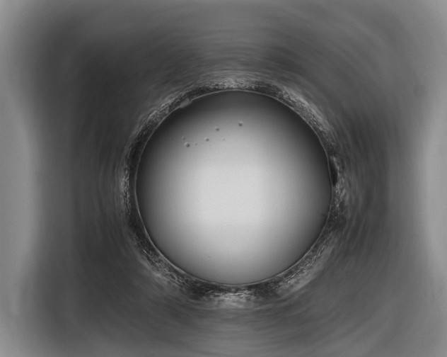 X0000116620306200912181310