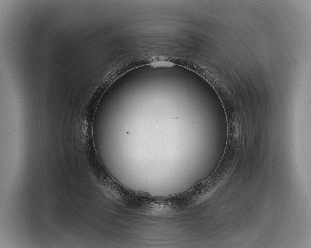 X0000116620308200912181310